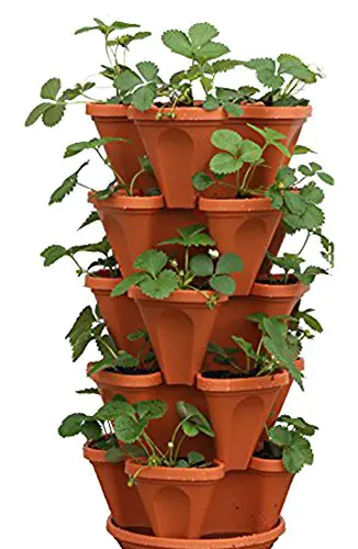 Mr. Stacky 5-Tier Strawberry Planter Pot