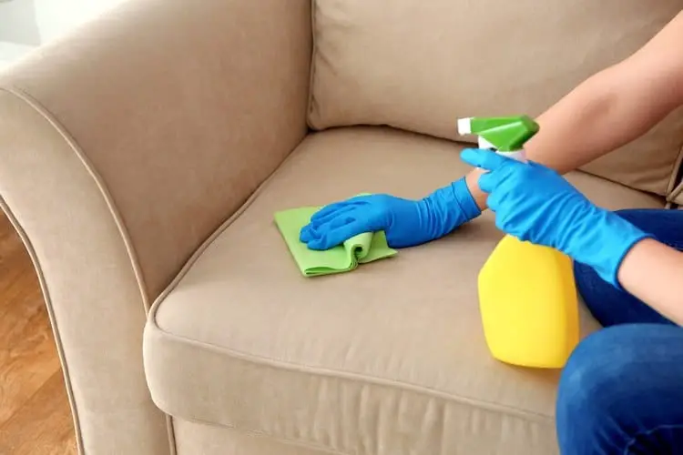 How to Clean a Sofa (in 5 Steps)