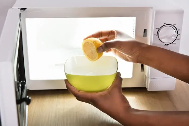 How to Deodorize a Microwave in 5 Steps