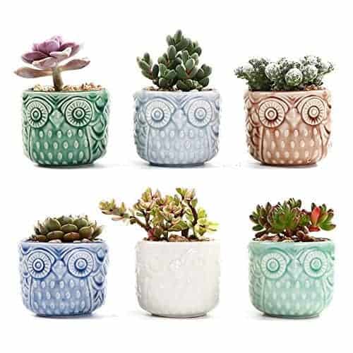 SUN-E 2.75 Inch Ceramic Owl Pattern Succulent Cactus Plant Pots